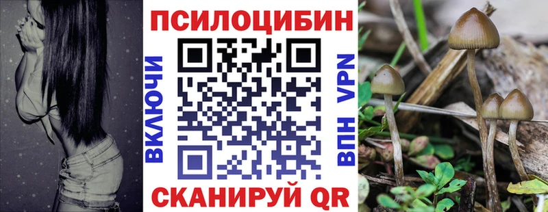 Псилоцибиновые грибы Psilocybine cubensis  Дигора 