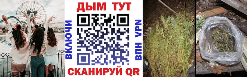 МАРИХУАНА сатива  купить наркотик  Дигора 